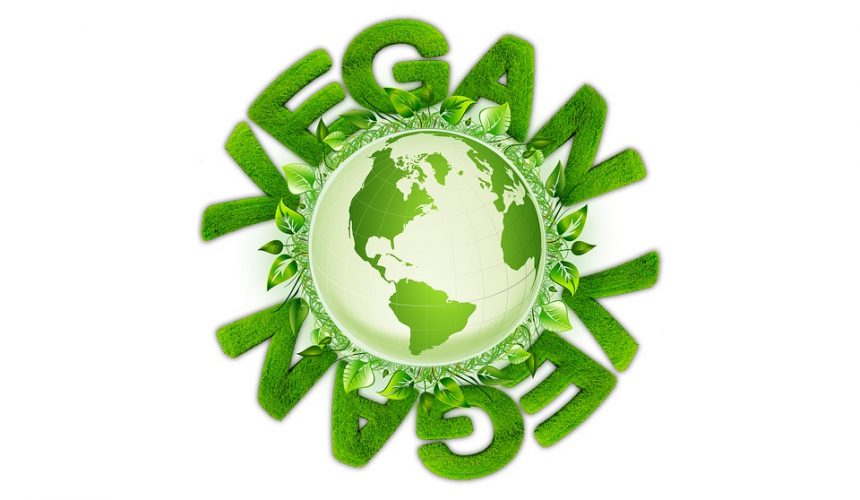 Vegan Weight Loss Products Vegan Weight Loss Products