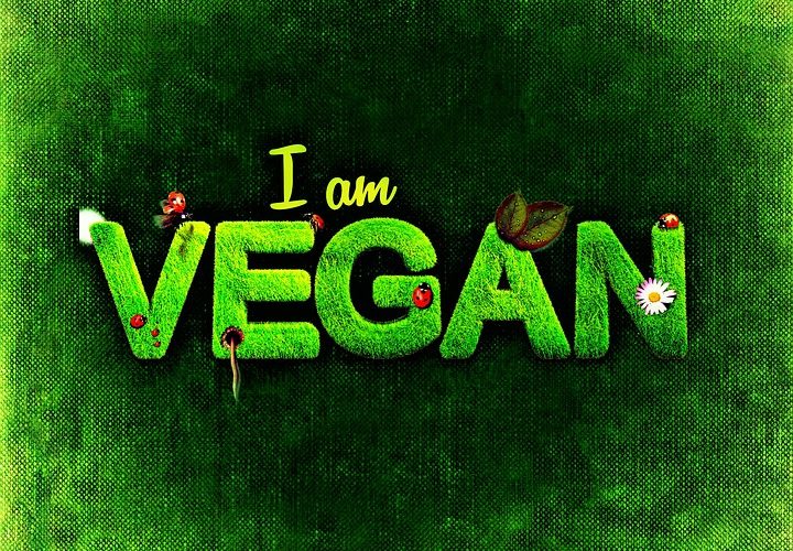 Vegan Fat-Loss Products Vegan Fat-Loss Products