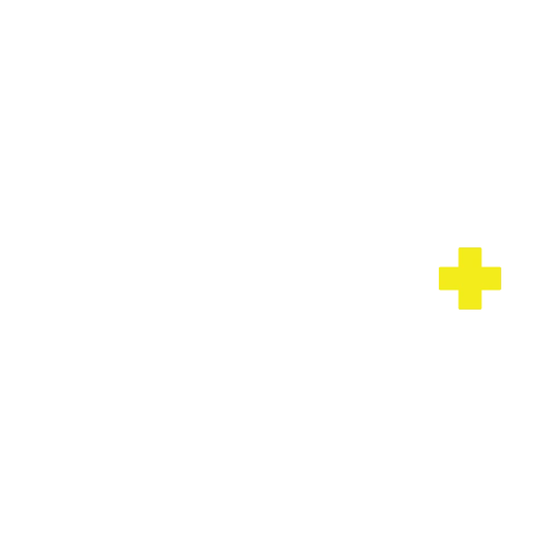 Ds-Chem logo