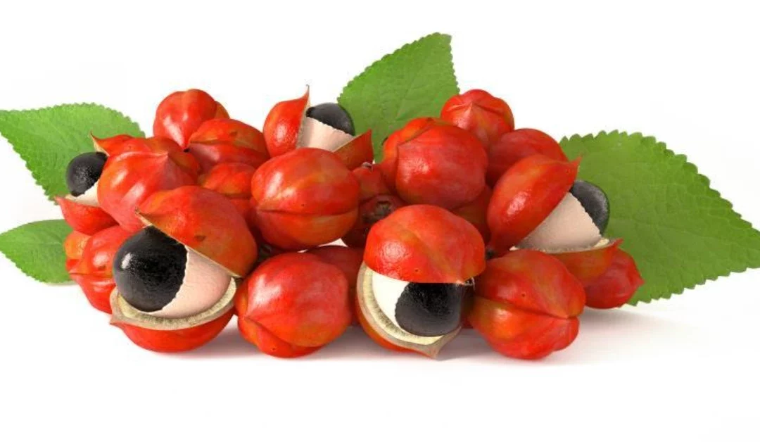 What is Guarana and Ginseng?